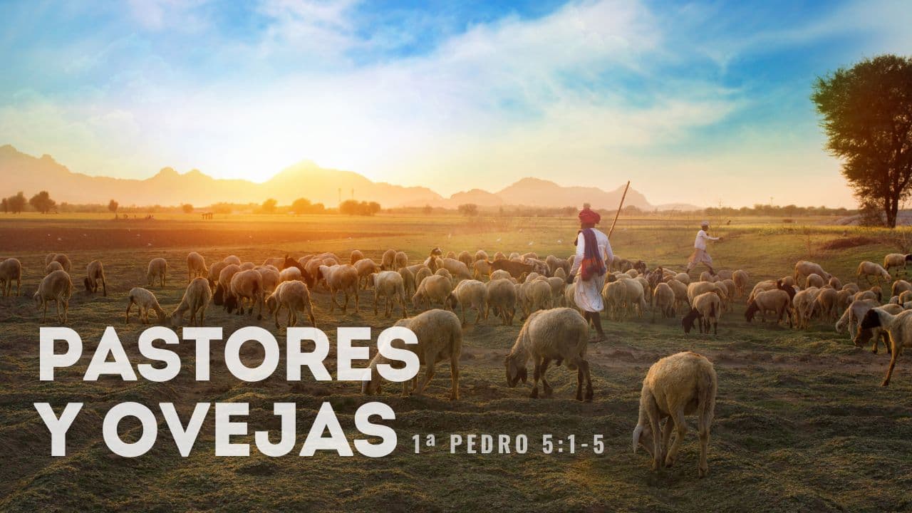 Pastores y ovejas